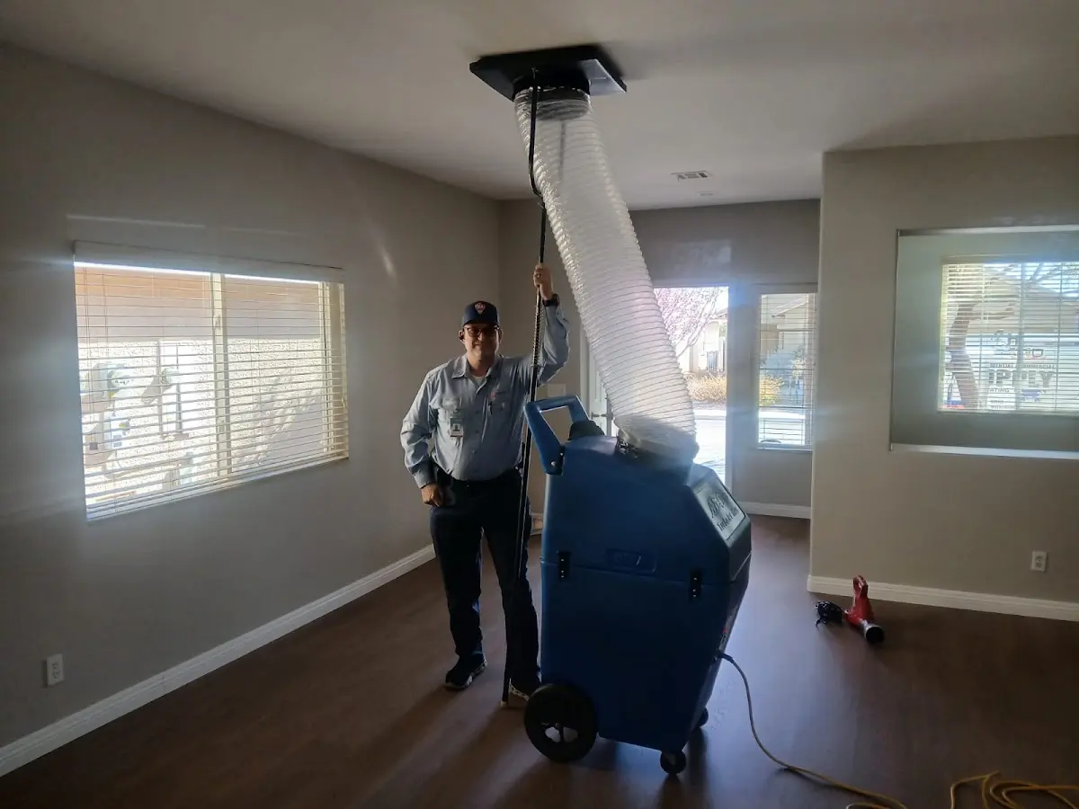 Professional Dryer Vent Cleaning work inside a Wilson home